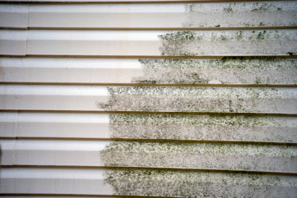 Best Shed Removal  in Angwin, CA